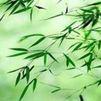 中越贸易有限公司
