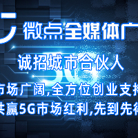 六安市微点信息科技有限公司